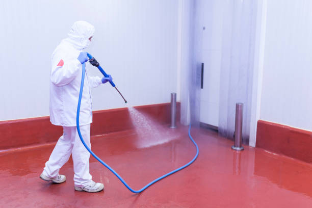 Animal Enclosure Cleaning in Oriskany, NY